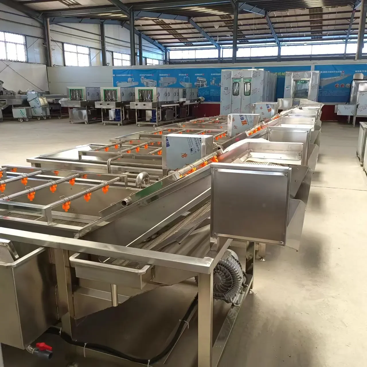 Professional Automatic Potato Cabbage Bubble Cleaning Machine Fruit and Vegetable Bubble Washing Machine