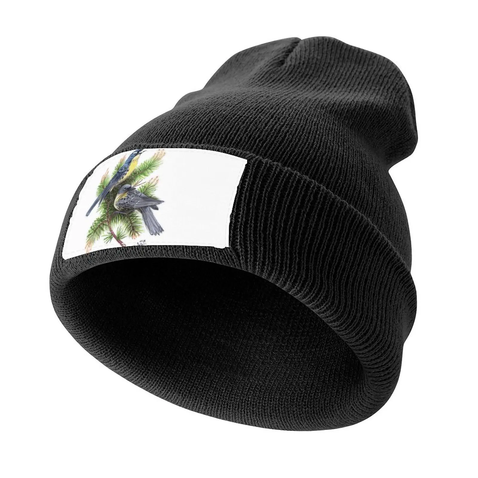 Kirtland's Warbler Knitted Cap Thermal Visor Beach Baseball Men Women's