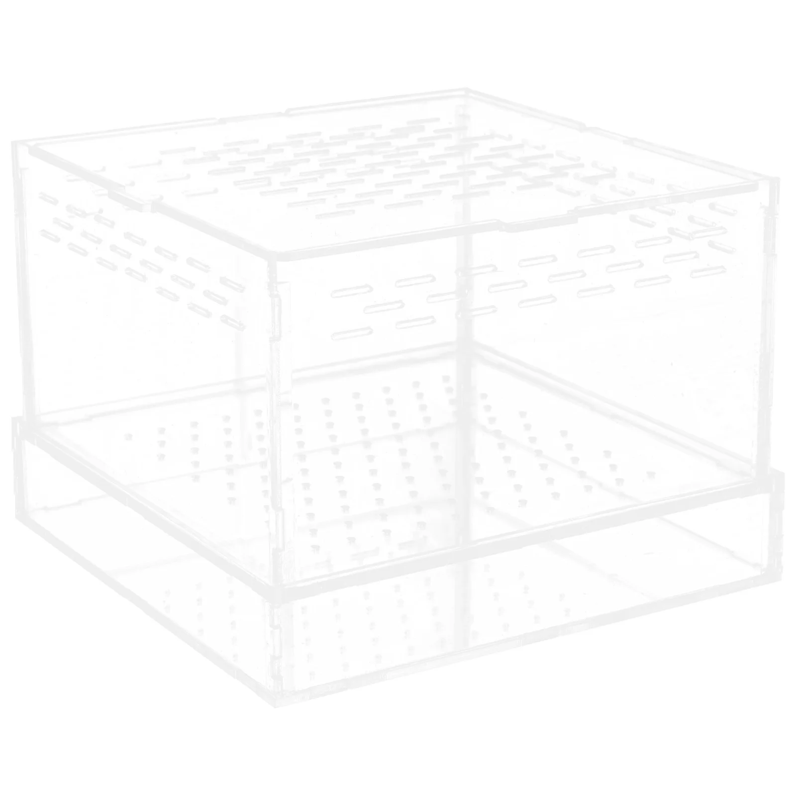 

Mealworms Feeding Case Clear Insect Hatching Container Lid for Spider Scorpion Gecko Reptile Breeding Box Crickets Keeper