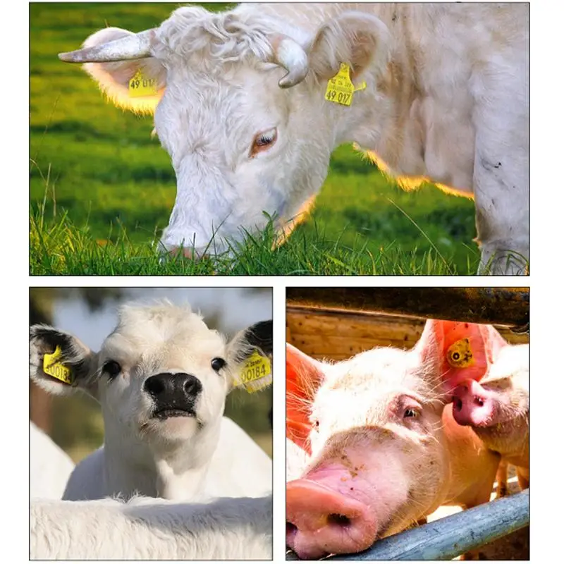 Livestock Tag Cutter Tool Livestock Ear Tag Cutter Solid Ear Tag Remover Tool Animal Ear Tag Marker Cutter Safe To Use For Sheep