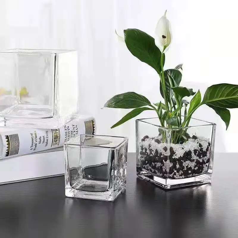 Simple Glass Square Jar Small Vase Transparent Dining Table Office Desk Vase Glass Desktop Decoration Ornaments