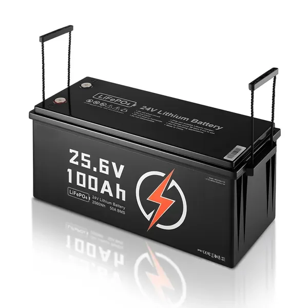 

24V 100Ah LiFePO4 Lithium Battery, Bluetooth, Deep Cycle Lithium Rechargeable Battery, Built-in 50A