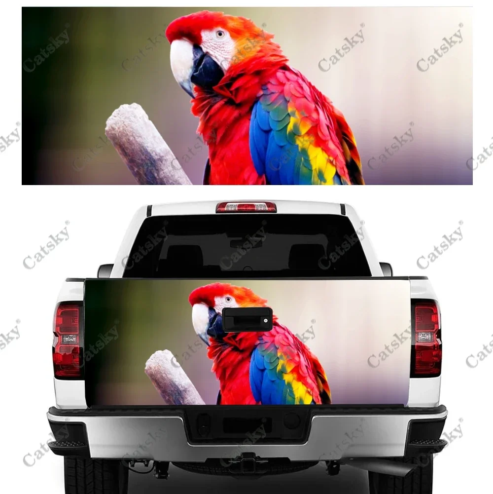 parrot animal cute Car stickers rear modification accessories vinyl suitable for cars trucks off-road vehicles SUV stickers