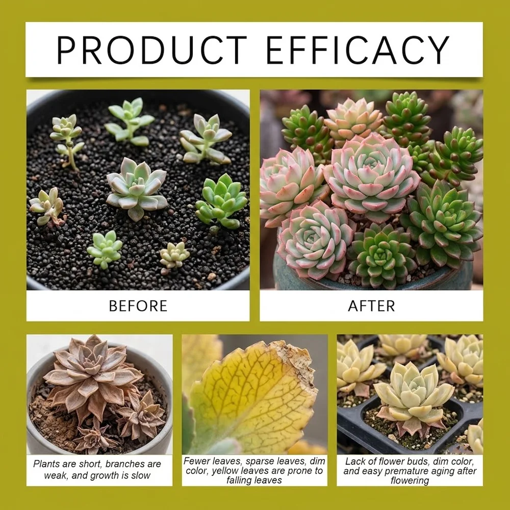 Succulent Rooting Solution Fast Transplant Recovery Enhance Stress Resistance Strong Root Booster Liquids for Garden Plants Care