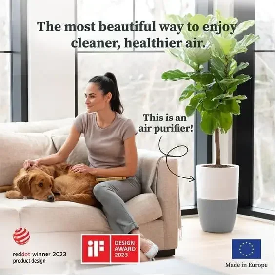 Dupray Bloom™ Air Purifier for Large Rooms with Planter or Custom Accent Table Design | For Home, Bedroom, Office, Dust, Pets