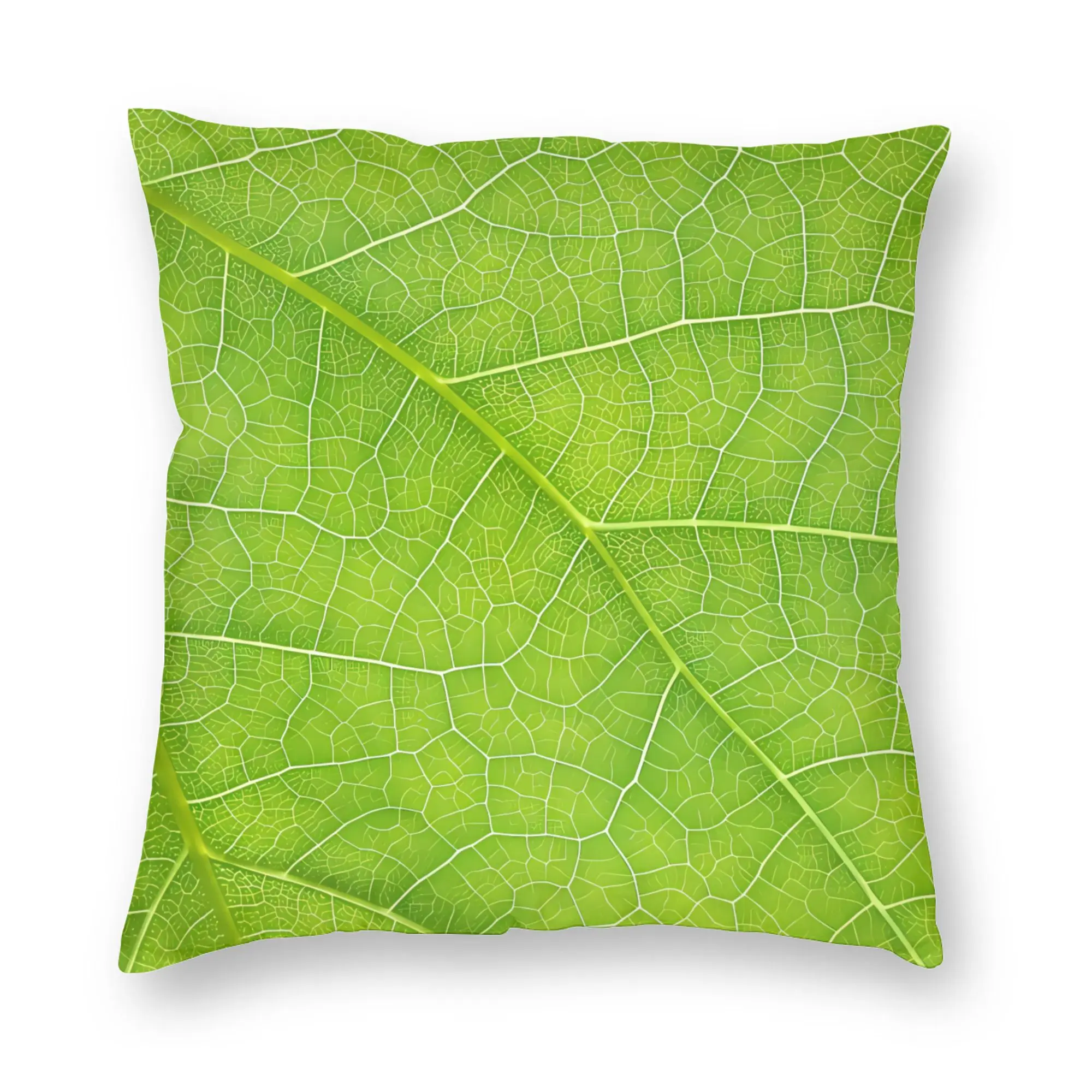 Pillow Case Cabbage Pattern Print  Pillow Cover For Couch Sofa Bedroom Fashion Pillowcases