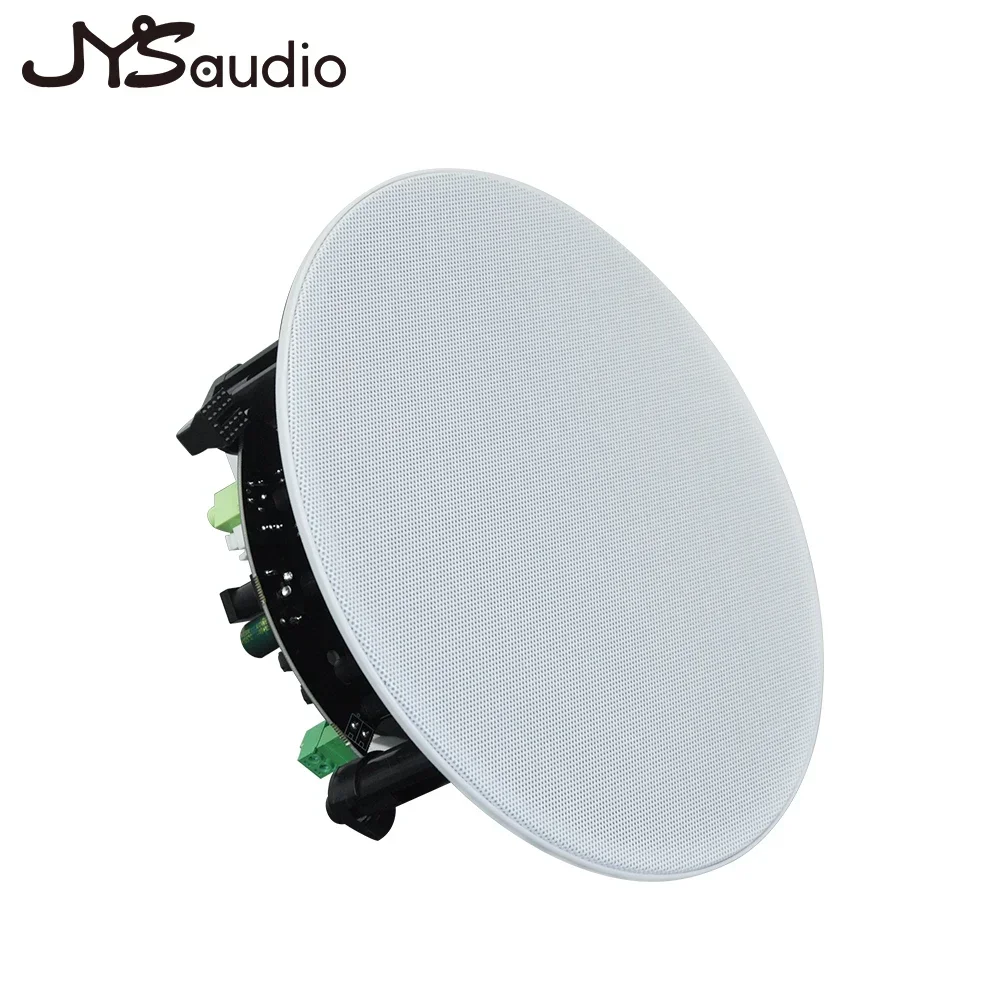 بلوتوث سقف المتكلم دش المسرح المنزلي الصوت محوري فئة D وحدة مكبر كهربائي رقمي في الجدار مكبر الصوت للفندق #1