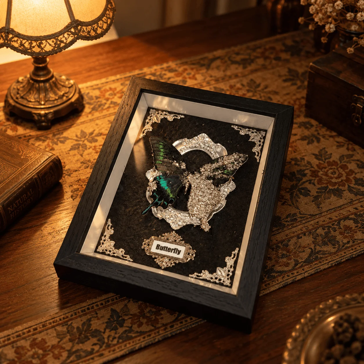Green Banded Swallowtail Butterfly, Baroque Shadow Box with Hand Applied Silver Foil, Vintage Natural History Wall & Table Decor