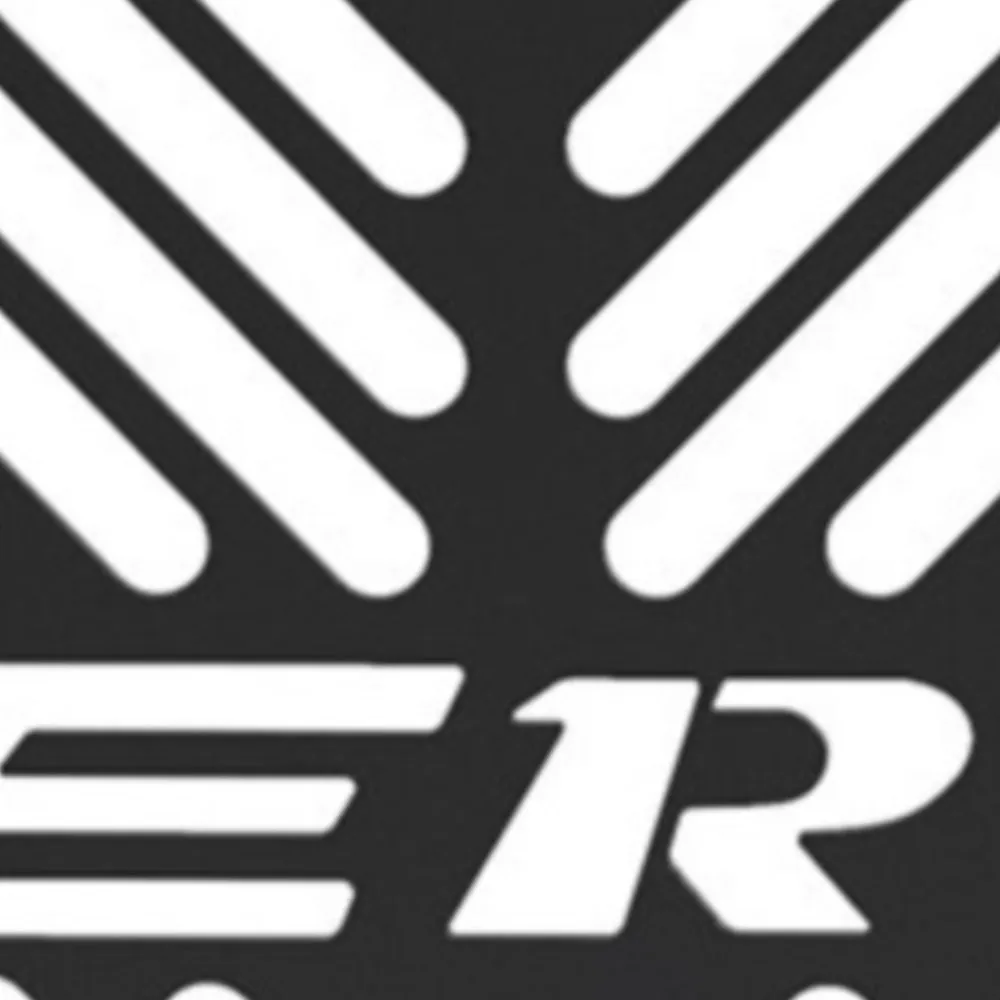 

ER5 For Kawasaki ER-5 ER 5 1997-2006 2005 2004 2003 2002 2001 2000 1999 1998 Motorcycle Radiator Grill Guard Cover Protector