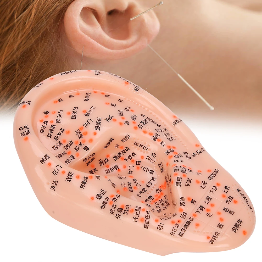 Acupuncture Points Ear Massage Model Chinese Medical Human Ear Acupoint Pressure Point Teaching Learning Train PVC Healthy Care