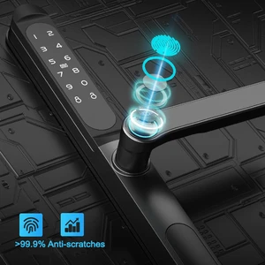 ZHDCOOKEY-DIGITAL BIOMETRISCHER ANRESSION INTECTIPENT TOR LOCKING, DELIZER ELEKTRONISCHE TOR-Schlösser, schlank, wasserdicht, Aluminium, RFID-Karte, Passwort, ttlock 12 Hauptverkauf Elektronische Verriegelung für Aluminiumtür - №5