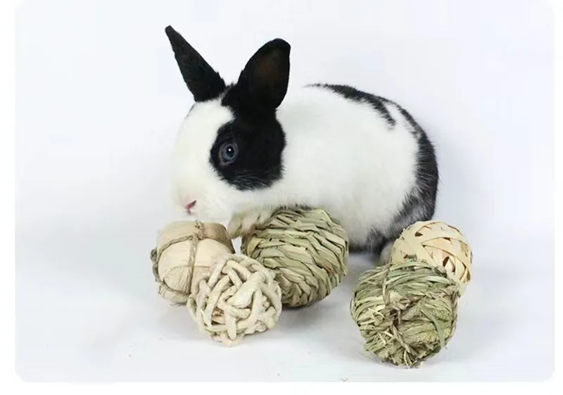 4/5 stücke Kauen geflochtenen Ball Meers chweinchen Kaninchen Hamster Kleintier spielen Haustier interaktive Kau spielzeug Naturrasen Ball Spaß Haustier Spielzeug – Detail 1