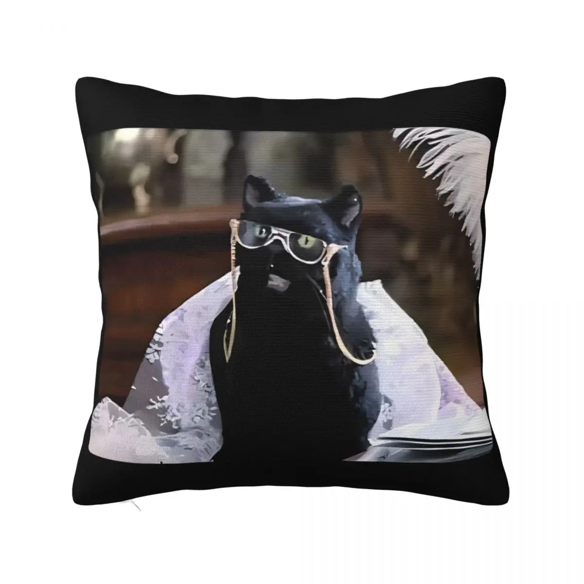 New Salem The Cat - Glasses Spectacles Headboards Pillow Case Covers Home And Decoration Pillow Case Pillow Cover