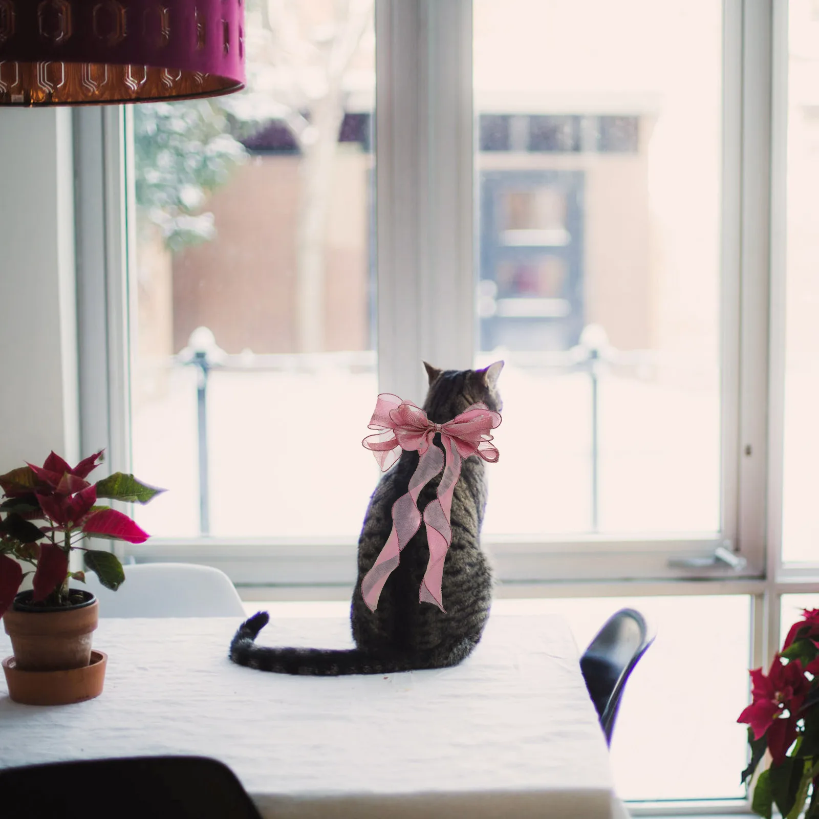 

Pet Bow Headdress Girl Cat Accessories Decoration Elegant Collar Collars for Cats Gift Bow-knot
