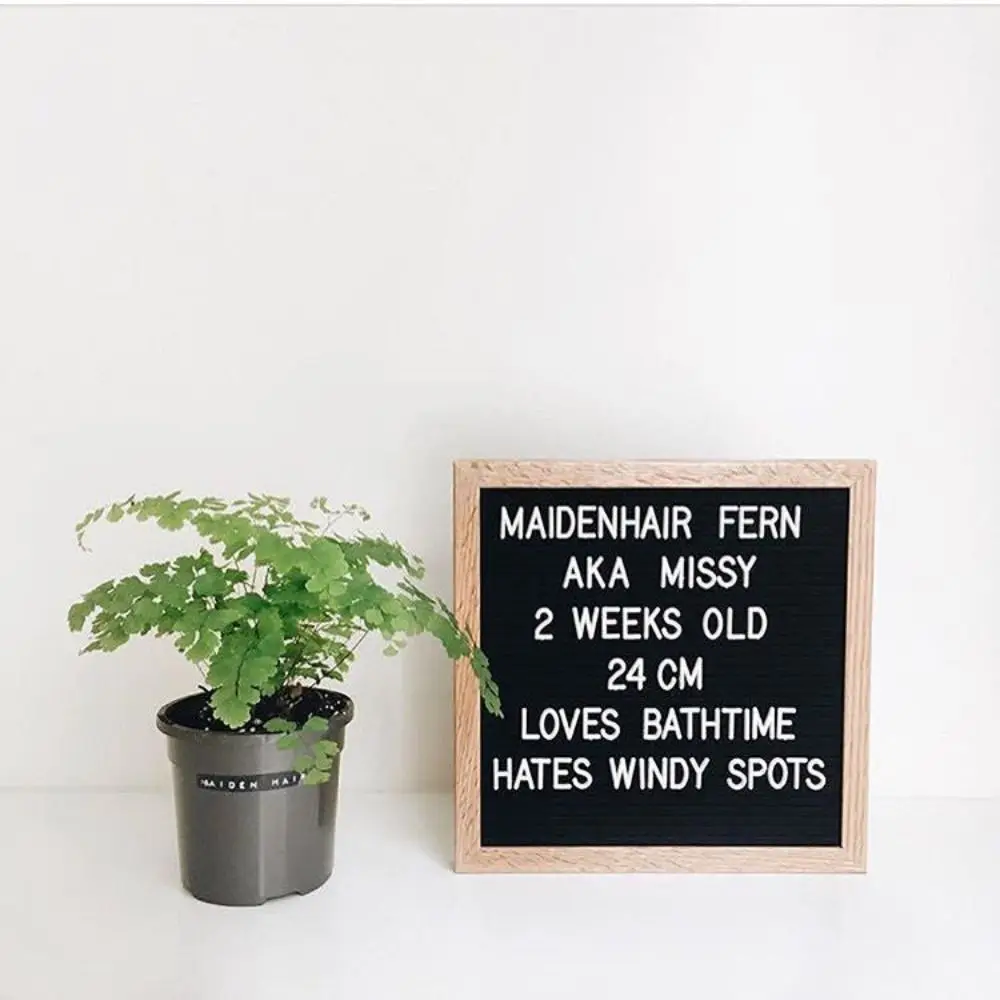 Multifunktionale Buchstaben-Nachrichtentafel aus Holz, austauschbare Symbole, Heimdekoration, Filz-Buchstabentafel, 25,4 x 25,4 cm, Tafelgeschäft