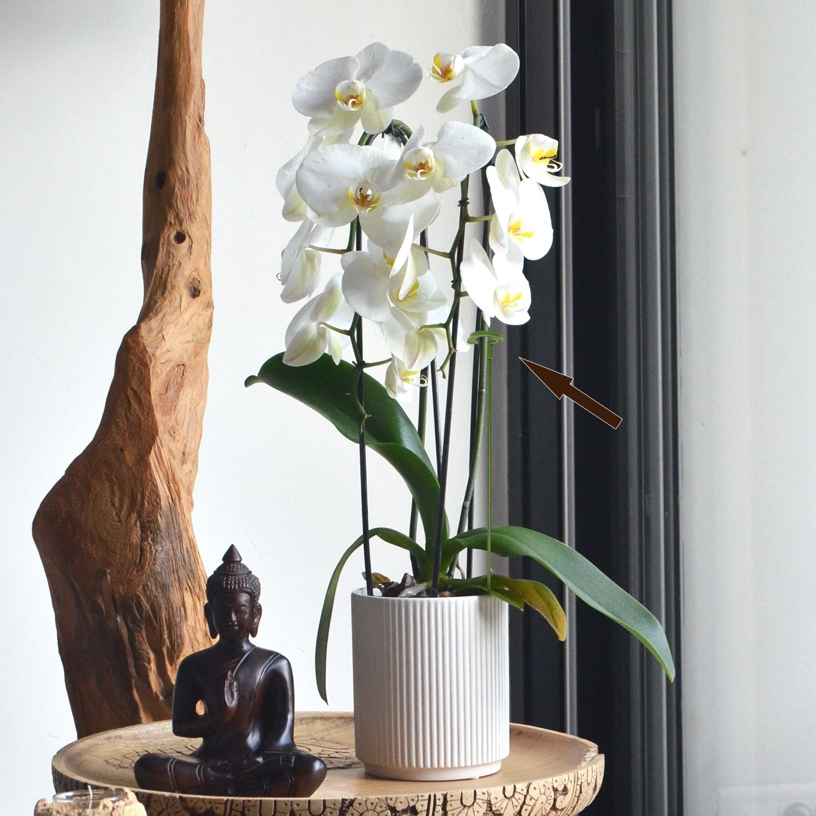 30 peças haste de suporte de plantas para vasos de plantas premium fibra de vidro suporte multifuncional leve jardinagem interna