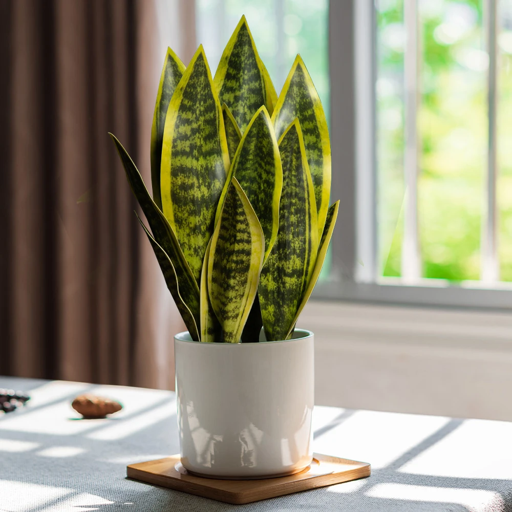 31/37 cm künstliche Schlangenpflanzen, gefälschte Sukkulenten, Kunststoff, Tigerfellpflanze, tropische Sansevieria für Büro, Zuhause, Tischdekoration – Detail 2