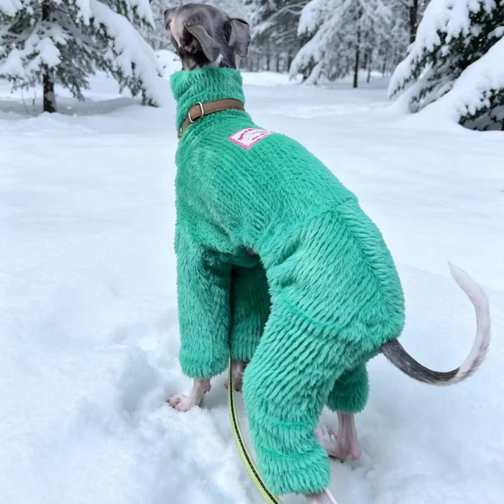 Pijama cuello alto manga larga para perros mini Galgo Whippet verde visón - imagen 4