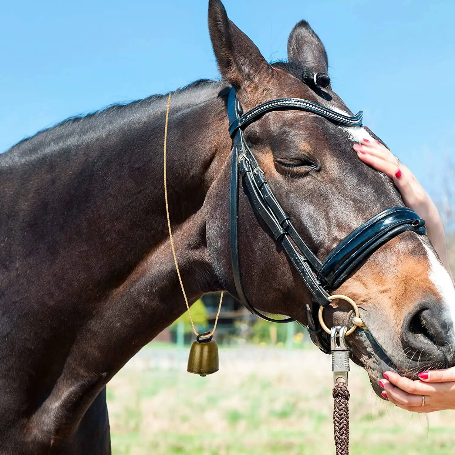 6 peças vaca cavalo ovelha pastando pequenos sinos de bronze cowbell retro sino para pastando cobre (bronze verde, bronze vermelho, ouro)