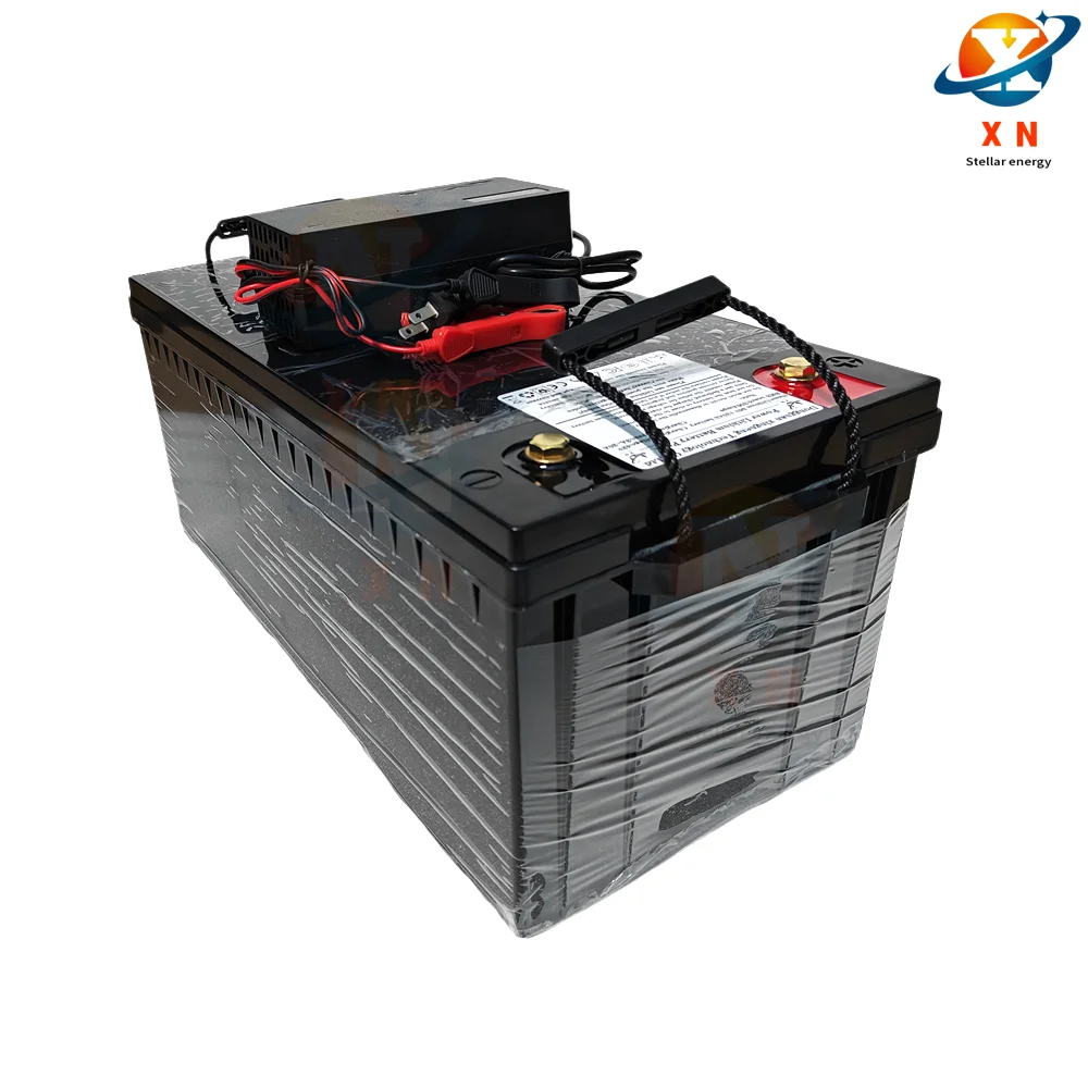 lithium 48v 100AH lifepo4 battery with BMS for tricycle golf cart inverter Solar energy storage scooter + 10A charger