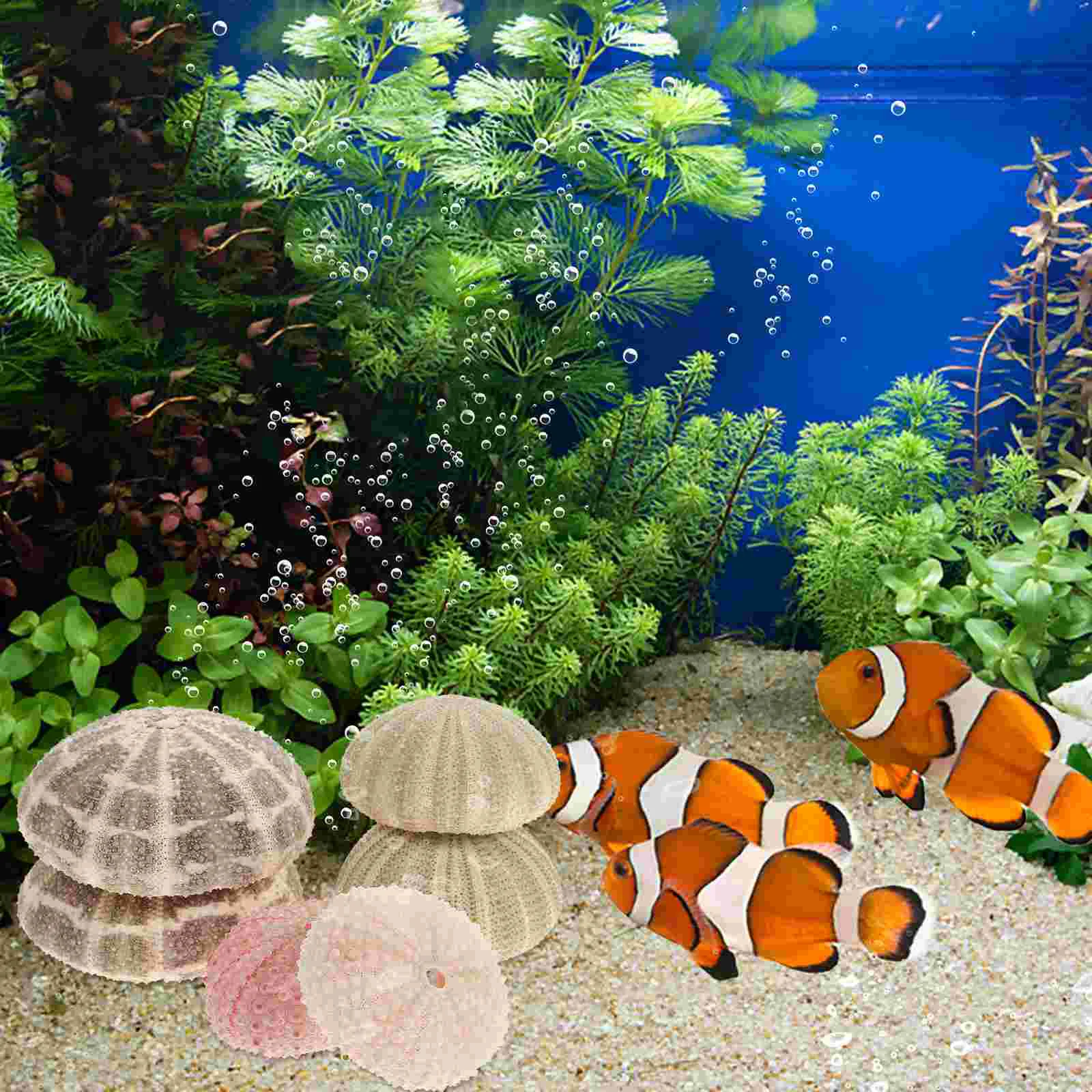 6pcs Sea Urchin Shell Pot 4cm 4 6cm Green 5 7cm Octagon Air Plant Decor Craft Accessories Fish Tank Aquarium Landscape