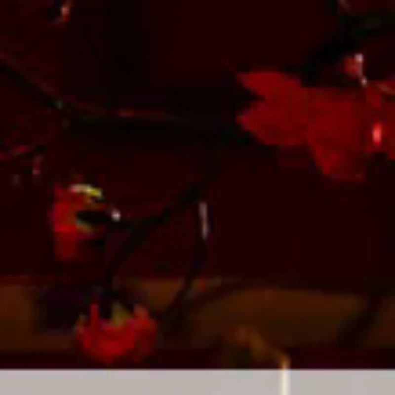 

6Pcs Red Envelopes Wedding Luckey Money Packet New Year 2026 Red Lucky Bag Spring Festivl Red Envelope Best Wishes Hongbao