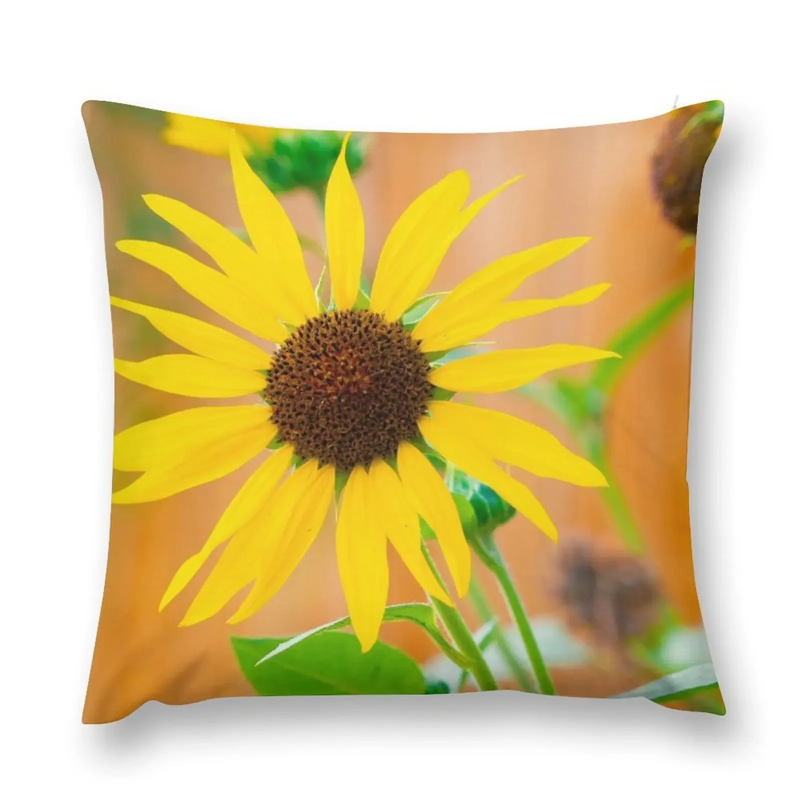 

Sunflower Greetings Throw Pillow Cushions For Sofa Decorative Cushions For Luxury Sofa Pillowcases Covers For Sofas pillow