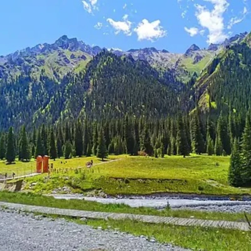 

IFlight BLITZ E80 80A Single ESC 2-8S BlHeli32 Dshot600 G071 MCU с крышкой из квасцов с ЧПУ для гоночного дрона RC FPV