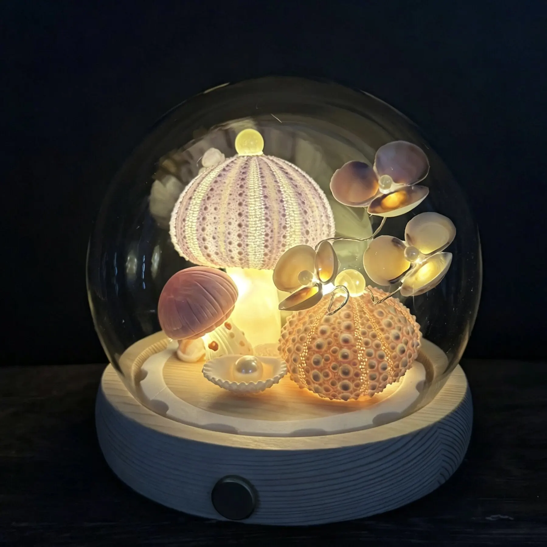 New Sea Urchin Lamp Ocean Island Shell Sea Urchin Night Light Luminous Ornament Portable Adult Bedroom Bedside Table Gift