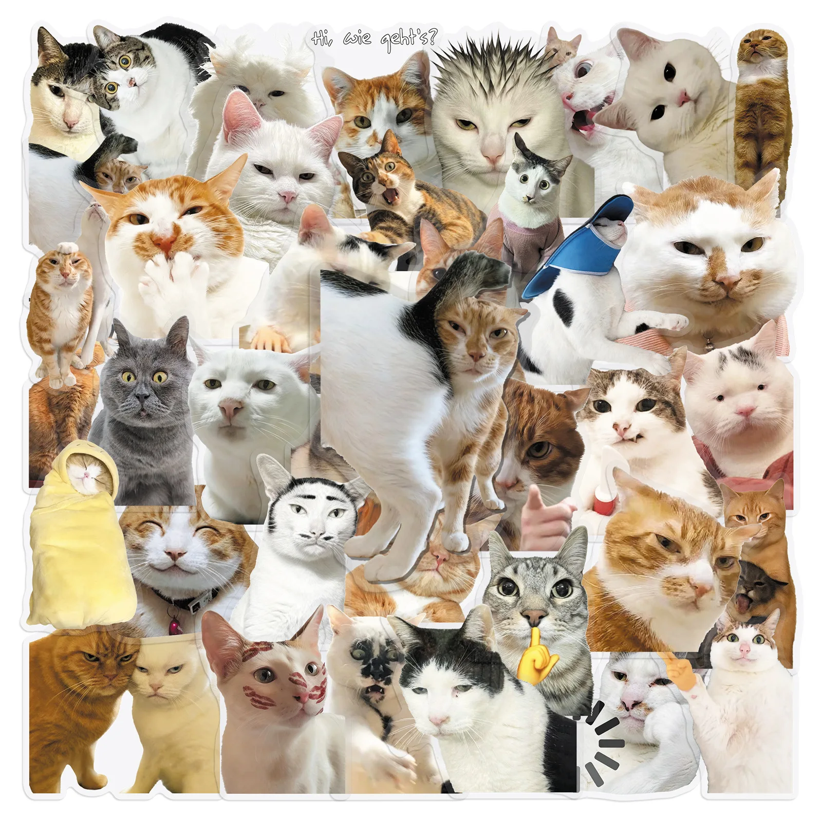 30/50pcs Funny Realistic Cat Animal Transparent PET Stickers for Phone Tablet Luggage Notebook Decorative Stationery