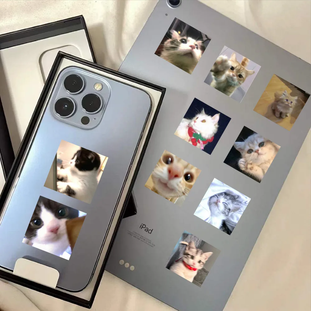 59 ملصقًا للقطط الغاضبة - شارات قطط لطيفة للديكور والحرف اليدوية لتسجيل متجر YourLife #3