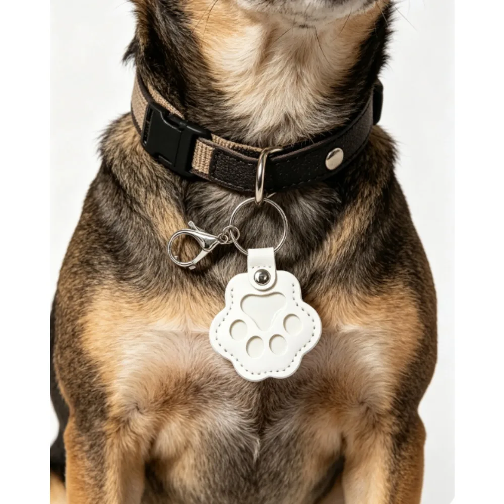5pcs Leather Pet Memorial Keepsake for Dogs and Cats Fur Storage Pendant Charm Gift Keychain Dog Hair Collector Keychain