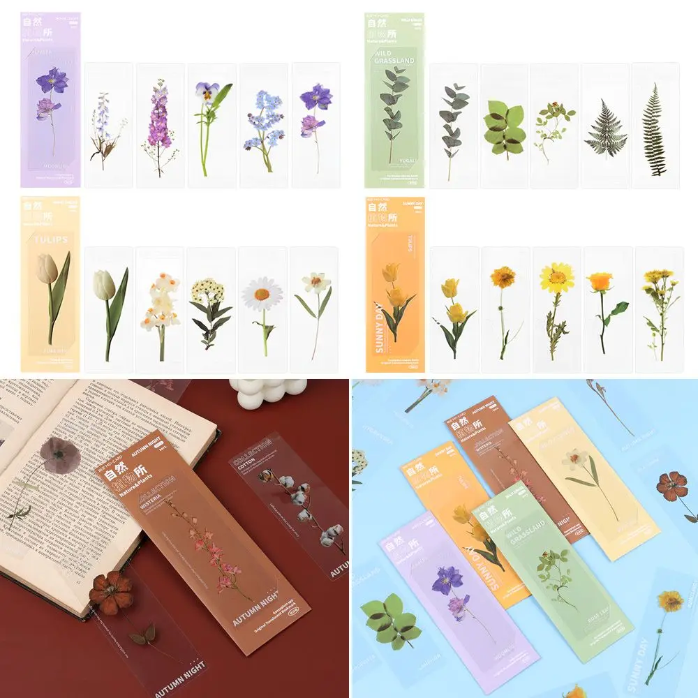 Book Note Marker Page Holder Leaf Vein PET Nature Plants Bookmarks Translucent Flower Specimen Bookmarks Bookmarks Card