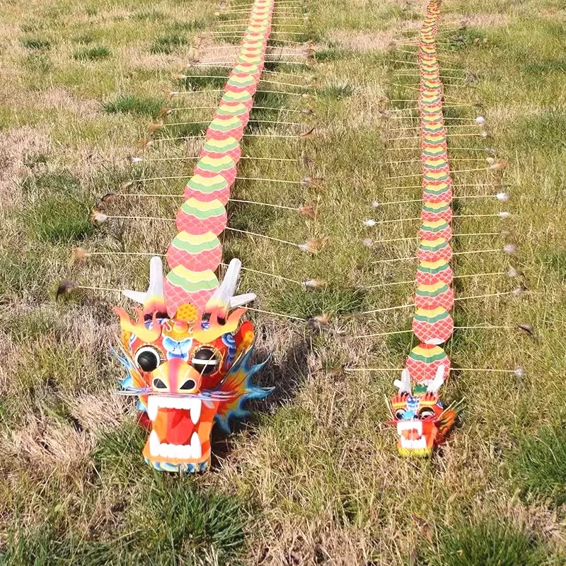 Traditionele Dragon Kite vliegende bamboe vlieger zijde stof Chinese vliegers fabriek decoratieve vliegers papier gesneden weifang vliegers lieveheersbeestje koi