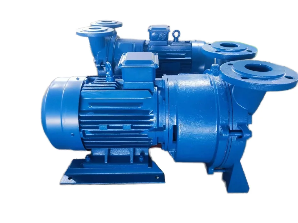 Electric Single-Stage Liquid Ring Vacuum Pumps Nearly Isothermal Compression