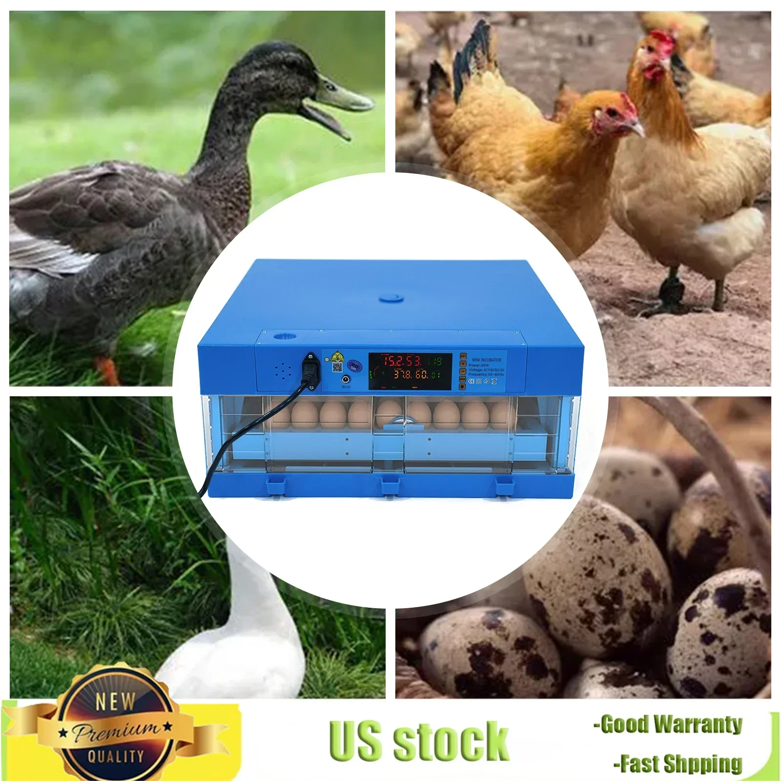 

Professional 64 Egg Incubator with Automatic Turner, Digital Thermostat Control for High Hatch Rate, Ideal for Chicken & Duck