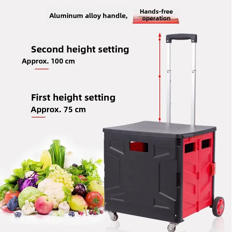 chariot-de-courses-portable-en-plastique-pliable-de-taille-moyenne-pour-l'achat-de-legumes-avec-corps-en-acier-inoxydable-pour-l'exterieur