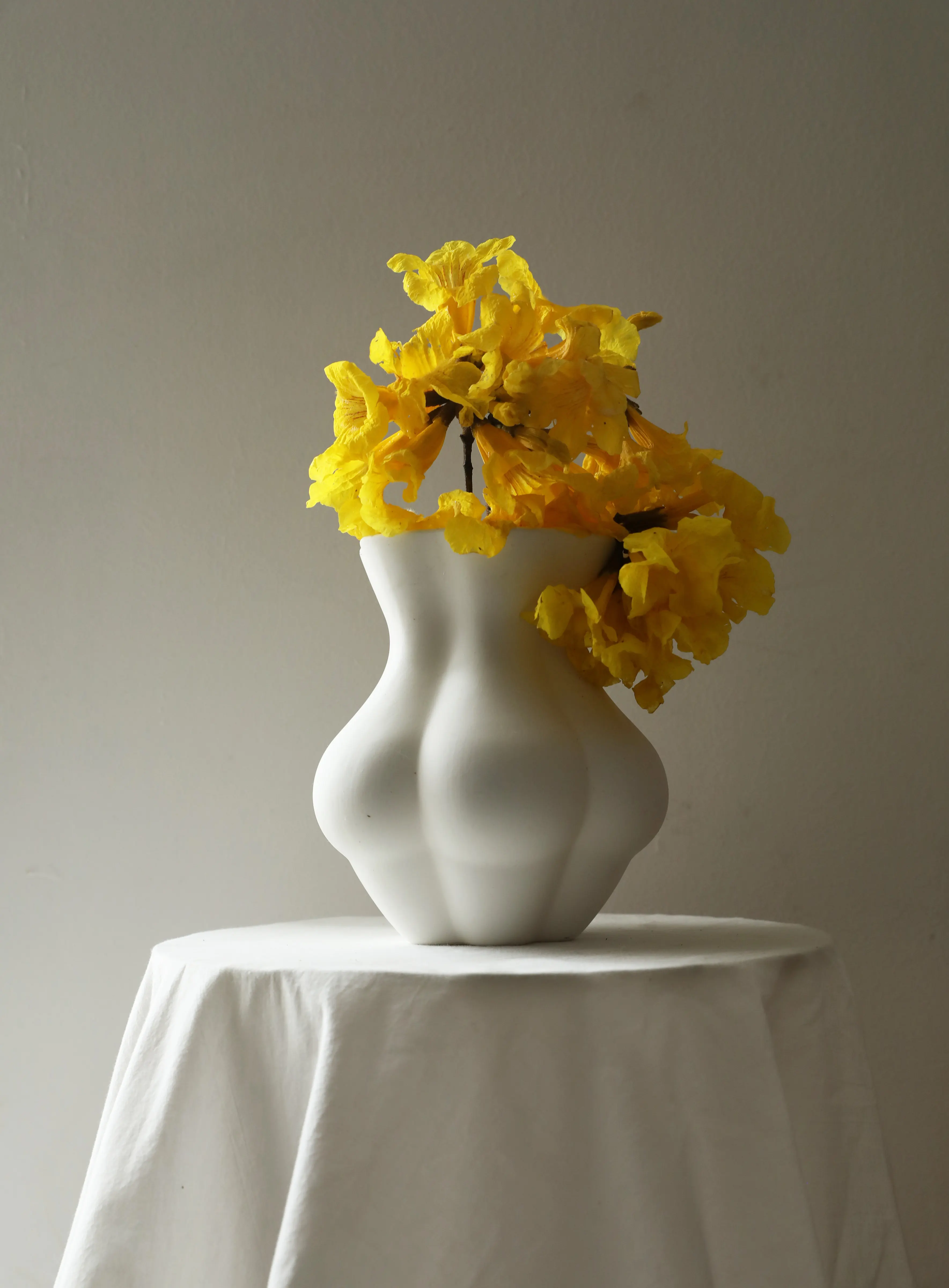 

Matte Ceramic Vase Abstract Irregular Line Human Body Ornament Desktop Flower Arrangement Vase Living Room Handicraft Decoration