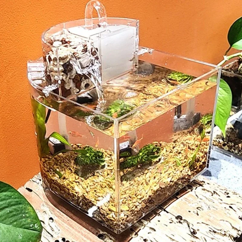 

Стартовый акриловый резервуар Betta, настольный аквариум, освежитель для аквариума, прозрачный портативный для мини