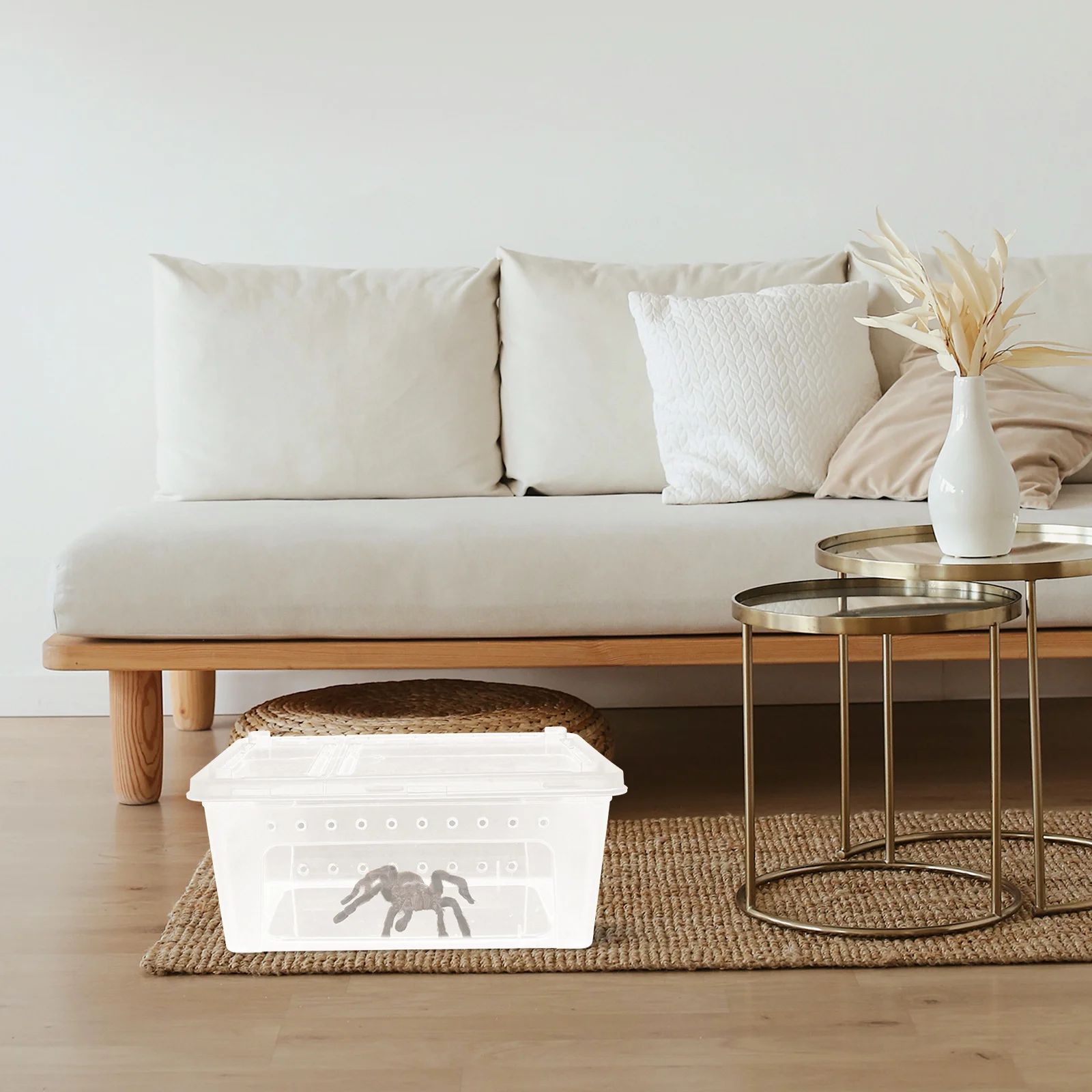 

1Pcs Transparent Plastic Reptile Feeding Box Double Opening for Spider Scorpion Snake Tortoise Gecko Breeding Case Reptile Cage