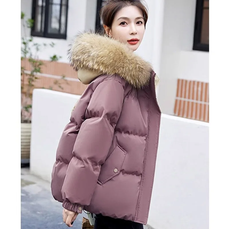 Autumn Winter Female Hooded Cotton Padded Coat 2024 Women Big Fur Collar Loose Fit Parka Jacket Ladies Thickening Puffer Outwear