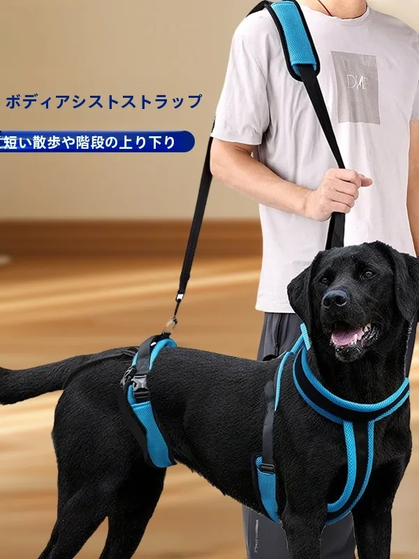 dog-aid-belt-breathable-waterproof-walking-outdoors-leg-support-suit-for-elderly-dogs-elderly-canine-front-rear-limb