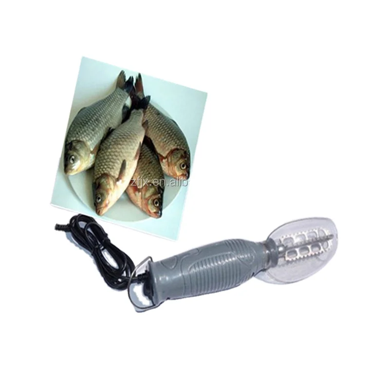 

Fish Scale Remover Peeler Scaler Machine Fishing Scaling Machinery