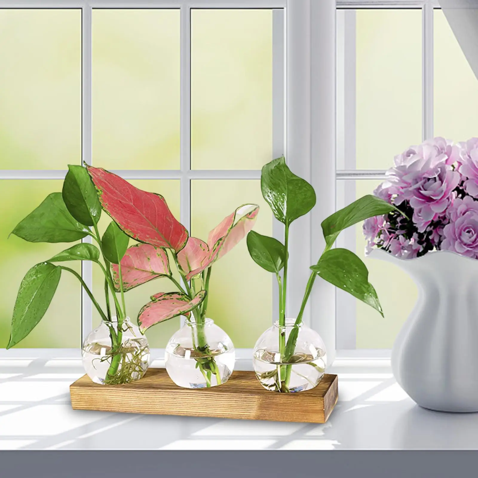 Vase en verre transparent avec base en bois, bouteille créative, pot de propagation