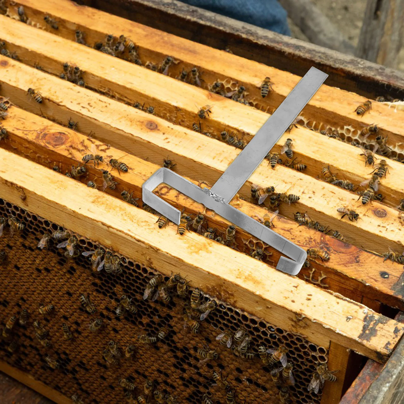 

2Pcs Beehive Frame Holder Stand Stainless Steel Reusable and Easy to Clean for Beekeeping Operations Beehive Frame Holde