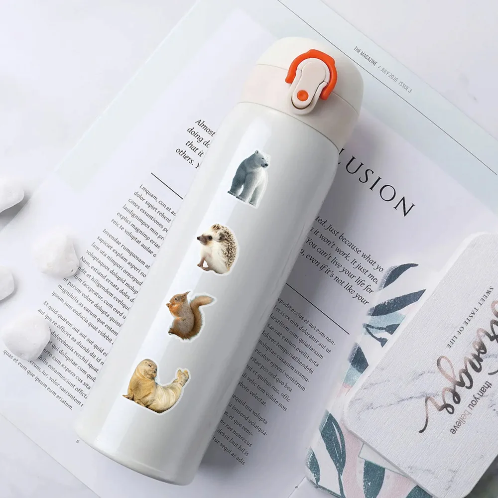 10/50 قطعة ملصقات شفافة الحيوانات البرية ملصق الحيوان الشارات واقعية لعبة الأمتعة المحمول الهاتف الغيتار سيارة الدراجة ملصق لعبة #6