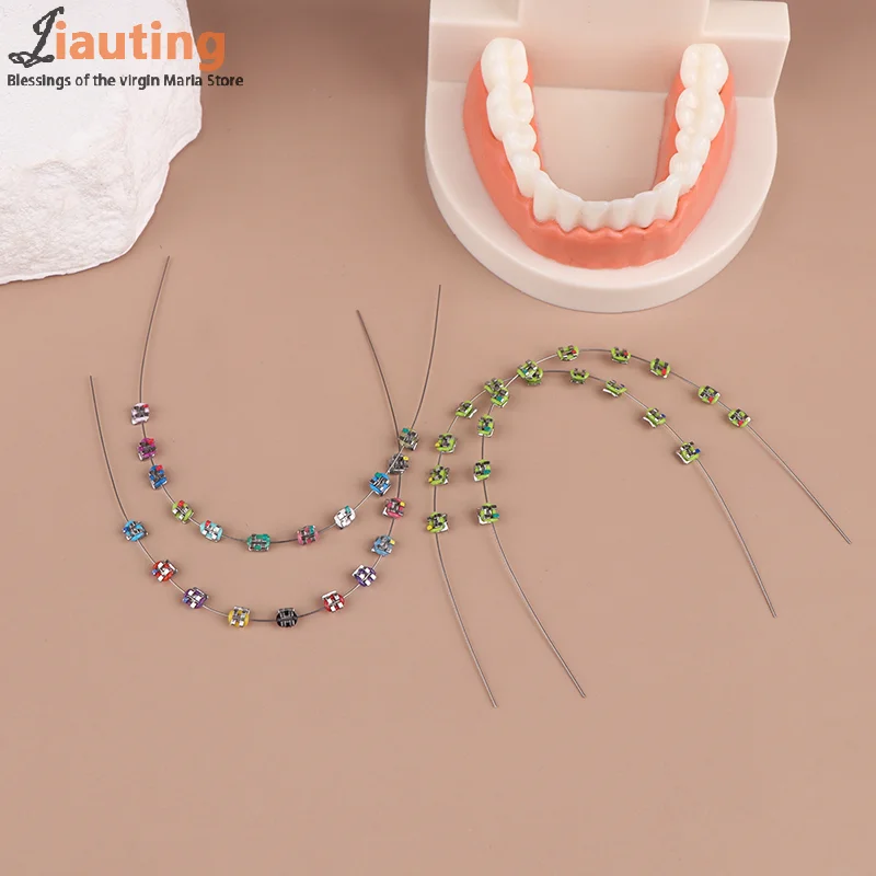 1 Pack Temporary Tooth Decoration With Metal Wires Multicolour Metal Bracket Orthodontic Ligature Ties Dentist Material