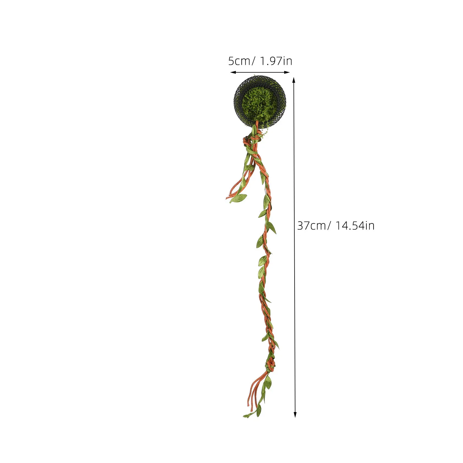 Mini Jumping Spider Shelter Hide Enclosure with Natural Tree Vine Climbing Elements for Arboreal Spider Habitat Enrichment