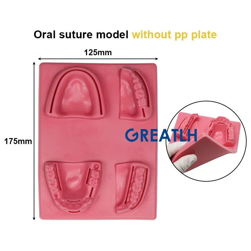 Dentysta zęby chirurgia jamy ustnej Model przyzębia szew Model narzędzia laboratorium dentystyczne