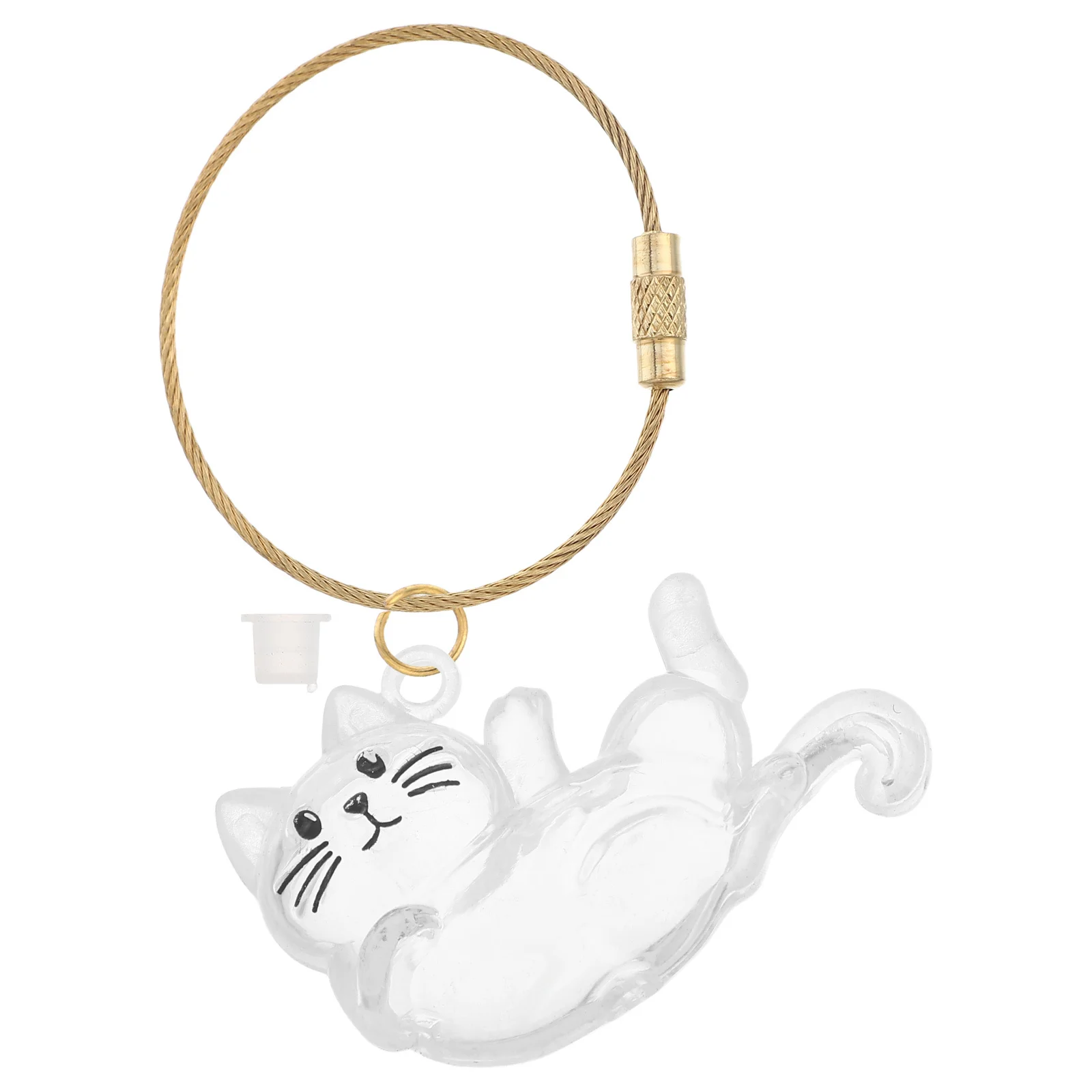 

Cat Hair Storage Bottle Transparent Mini Keepsake Box For Pet Lovers Pet Hair Organizer Souvenir Box Dog Memorial Gift Capsule